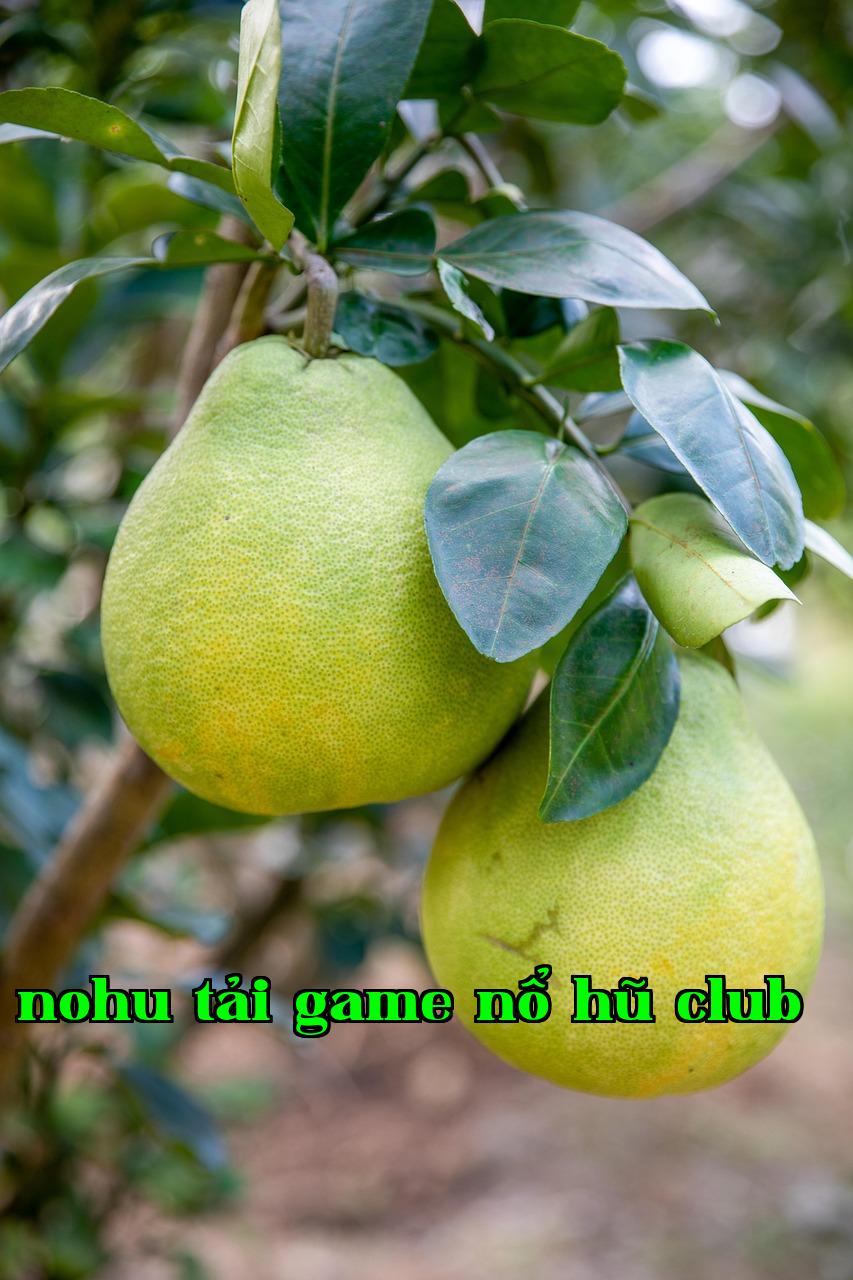 Featured image of post Tăng cường bảo mật cho tài khoản Windows - nohu tải game nổ hũ club
